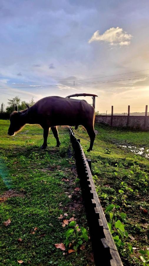 Pousada Marajoara- Hotel Fazenda-Turismo De Aventura 索雷 外观 照片