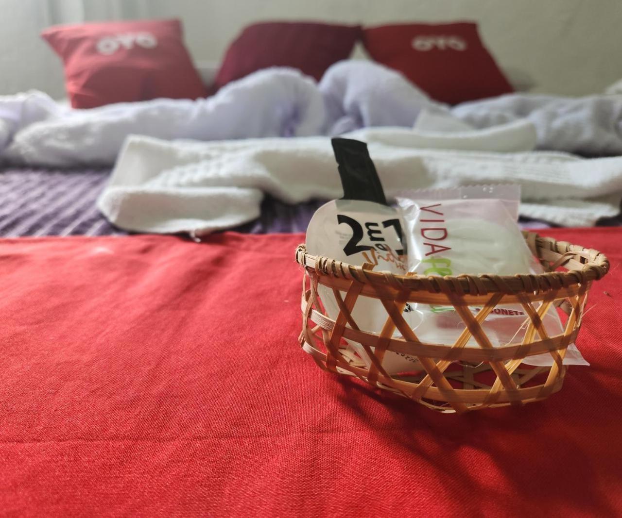 Pousada Marajoara- Hotel Fazenda-Turismo De Aventura 索雷 外观 照片