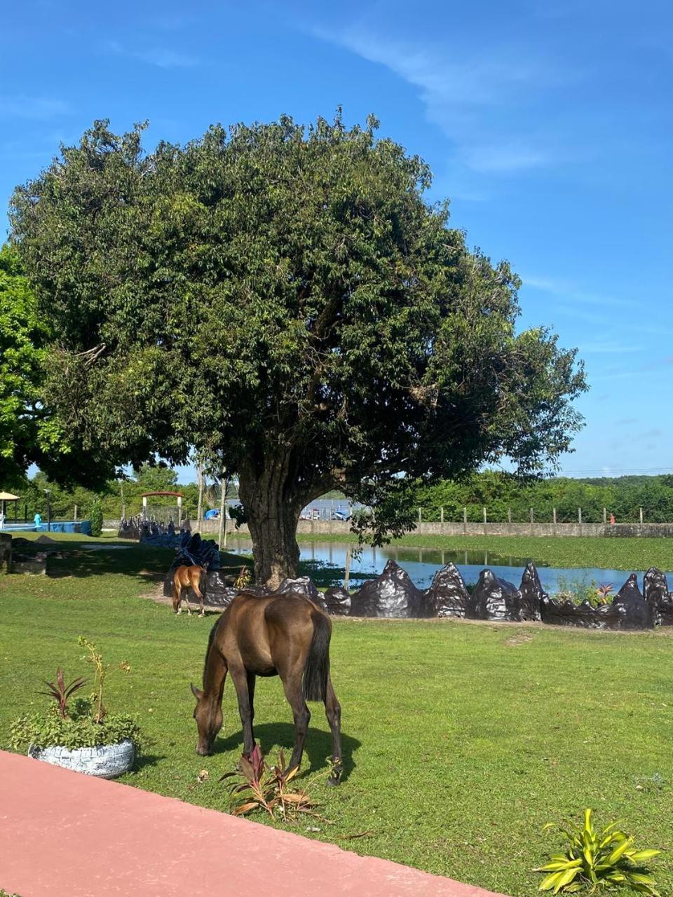 Pousada Marajoara- Hotel Fazenda-Turismo De Aventura 索雷 外观 照片