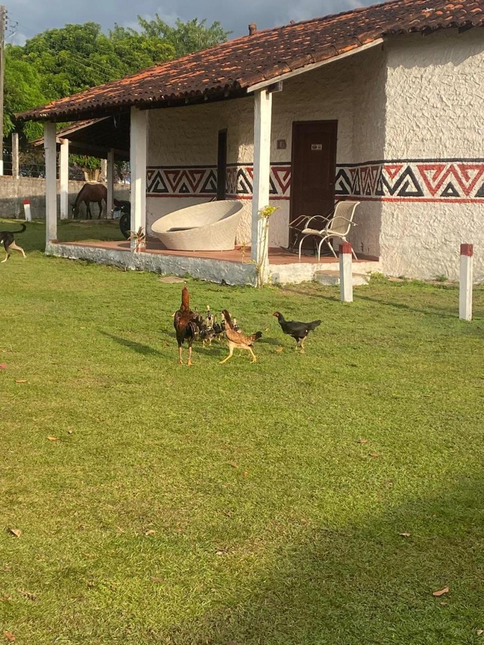 Pousada Marajoara- Hotel Fazenda-Turismo De Aventura 索雷 外观 照片